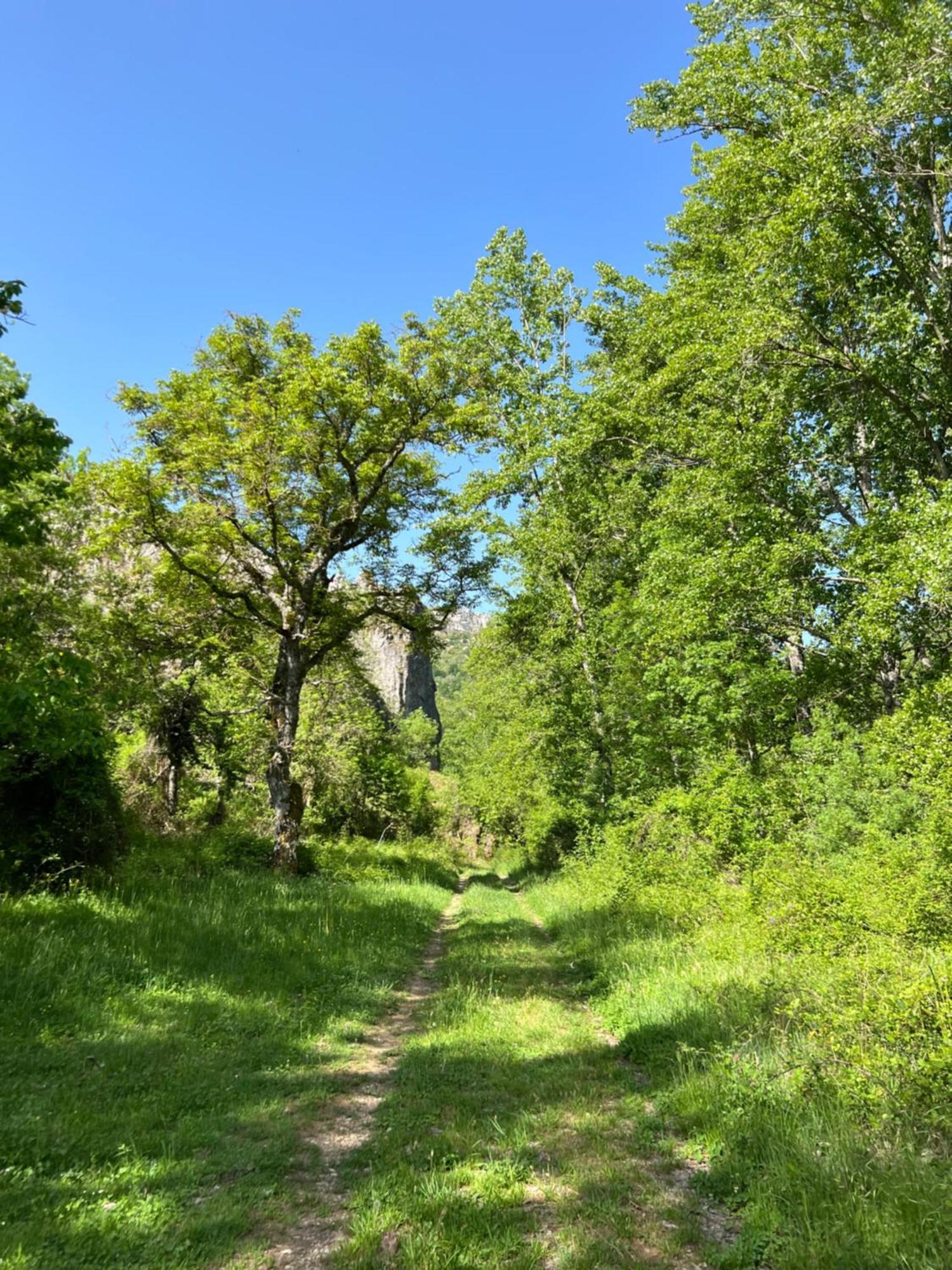 El Refugio I De Verdiago ภายนอก รูปภาพ